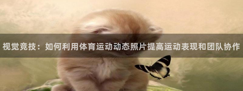 oety欧亿