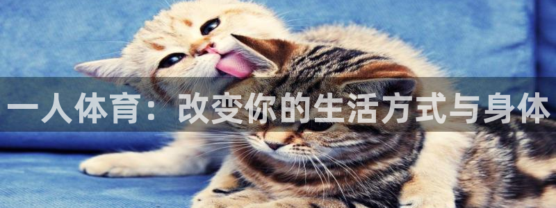 oety欧亿