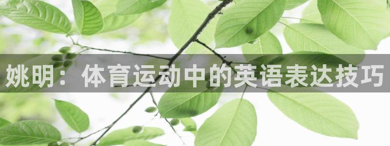 oety欧亿：姚明：体育运动中的英语表达技巧