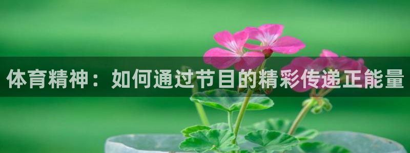 oety欧亿：体育精神：如何通过节目的精彩传递正能量