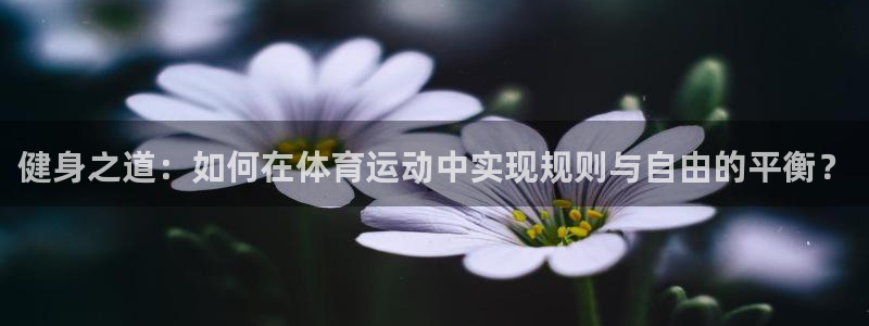 oety欧亿