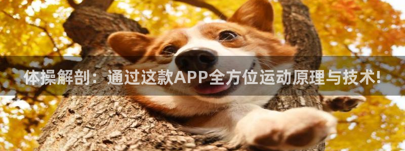 oety欧亿：体操解剖：通过这款APP全方位运动原理与技术!