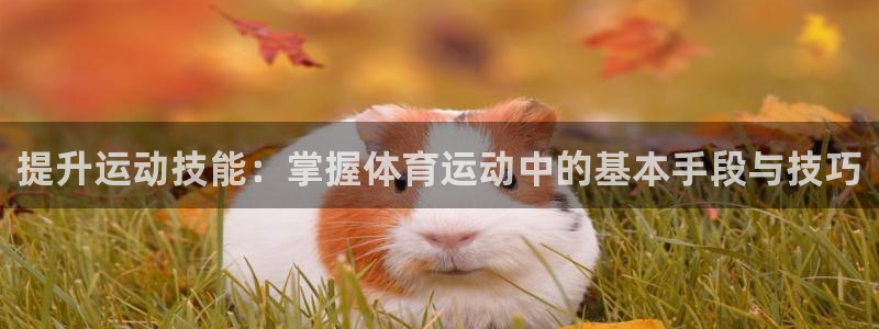 oety欧亿：提升运动技能：掌握体育运动中的基本手段与技巧