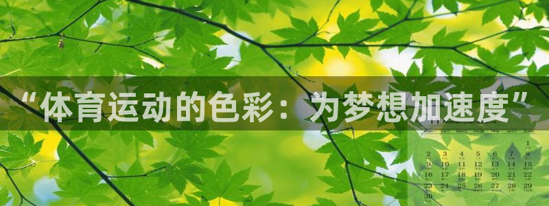 oety欧亿：“体育运动的色彩：为梦想加速度”